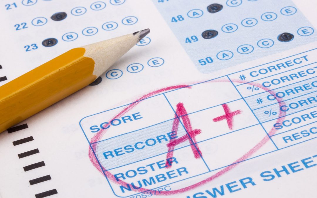 KS3 exams: Revision information